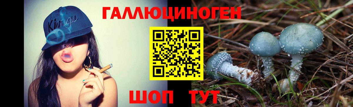 Псилоцибиновые грибы мицелий  Вход с VPN  где купить наркотик  Ачинск 